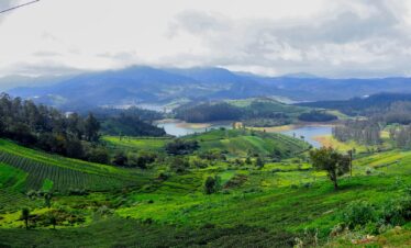 Guwahati |Kaziranga |Shillong |Cherrapunji |Mawlynnong